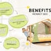Montessori Bed, Toddler Gym, Montessori Climber, Indoor Play Gym, Toddler Bed, Bed Frame, Playroom Decor, Kids Furniture, Baby Gift