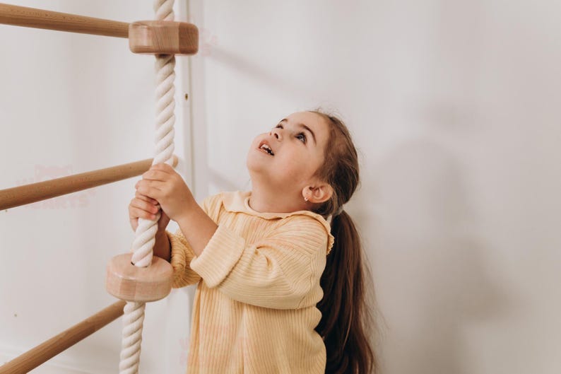 88x78" Giant Bridge Swedish Ladder & 1 Optional Rope Accessory: Gymnastics Rings, Waldorf Ladder, Baby Swing, Nursery Mobile Home Gym