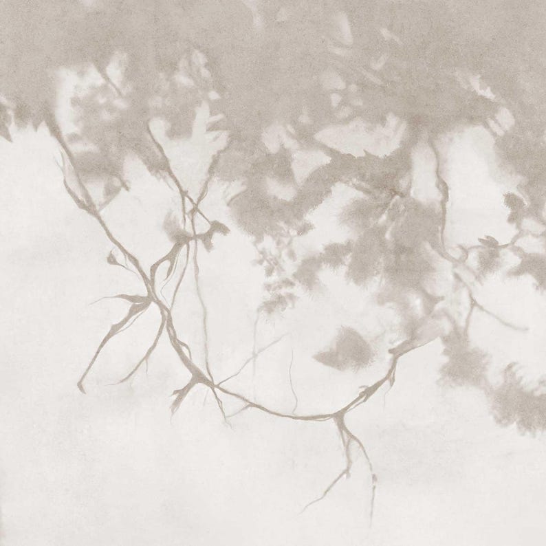 Serene Forest Landscape Wallpaper - Neutral Toned Tree Wall Art for Living Room or Bedroom