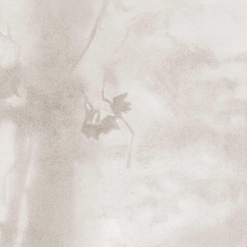 Serene Forest Landscape Wallpaper - Neutral Toned Tree Wall Art for Living Room or Bedroom